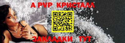 шишки Донской