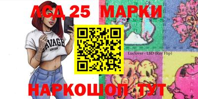 шишки Донской