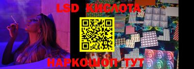 шишки Донской