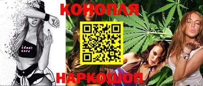 шишки Донской