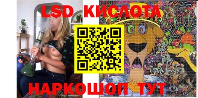 шишки Донской