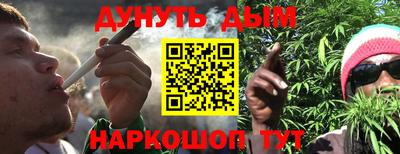 шишки Донской