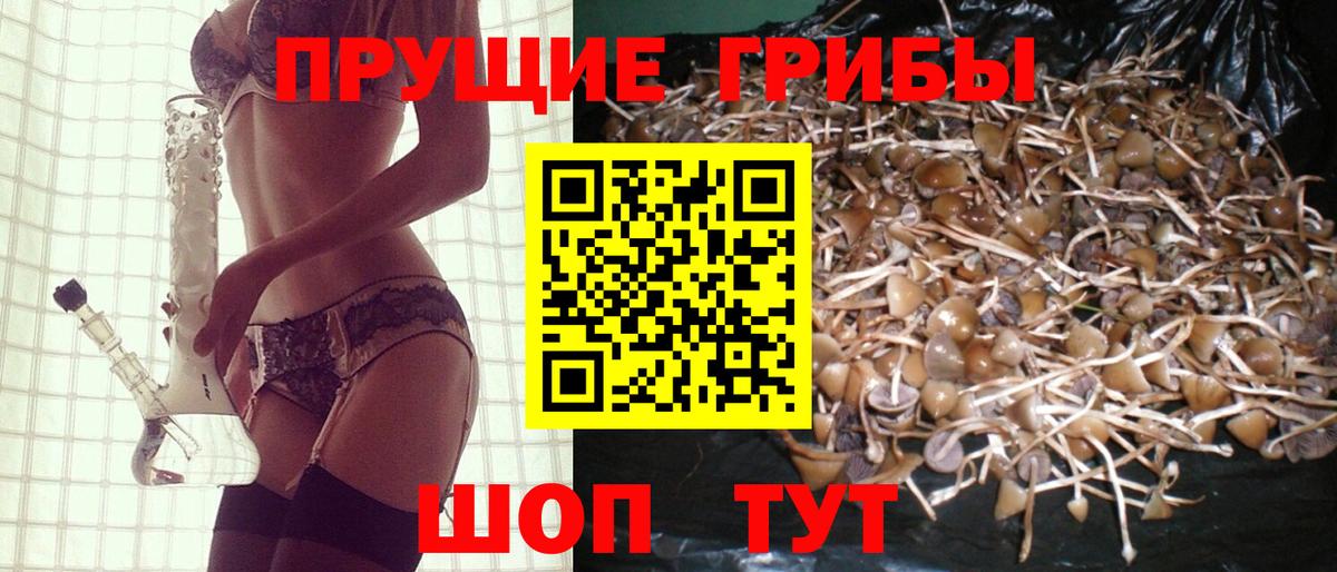 Псилоцибиновые грибы прущие грибы  Галлюциногенные грибы мицелий  Вход с VPN  Минеральные Воды 
