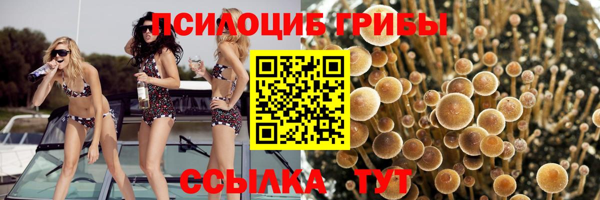 Псилоцибиновые грибы мухоморы Минеральные Воды